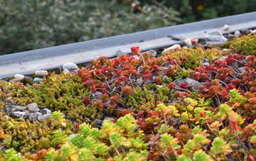 the cost of Cwmifor green roof installation