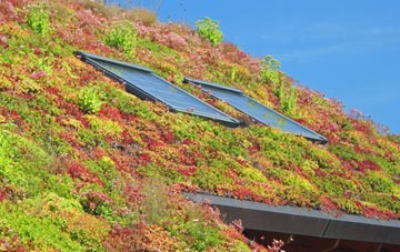 Cwmifor living roof systems